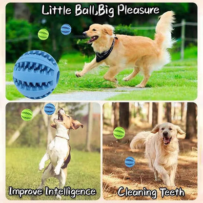 Natural rubber chew ball for dogs promoting dental hygiene and interactive pla