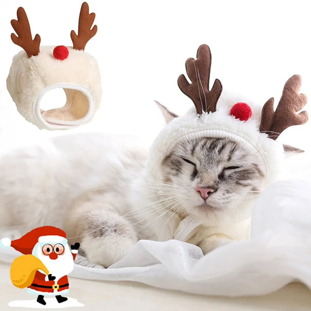 Pet wearing a Santa elk hat and Christmas bandana bib scarf for holiday celebration