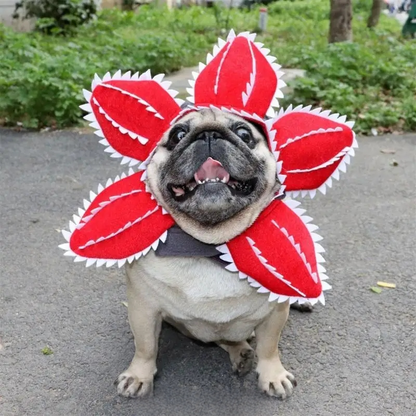 Cat wearing a scary flower Demogorgon cosplay hat for Halloween or costume party