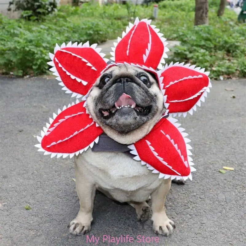 Funny Cat Hat Demogorgon Scary Flower Costume for pets, adjustable and perfect for parties and celebrations