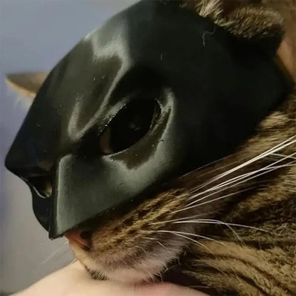 Cat wearing a black bat-inspired superhero mask, posing confidently for Halloween.