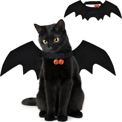 Cat wearing bat wing costume for Halloween.
