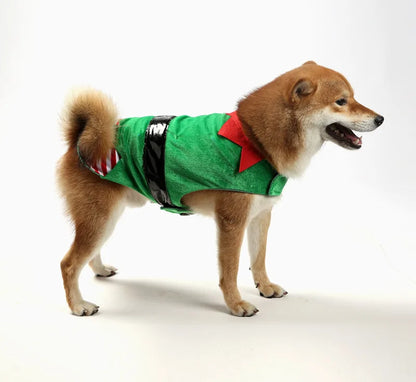 Striped Christmas and Halloween dog costume vest for festive Santa and elf looks