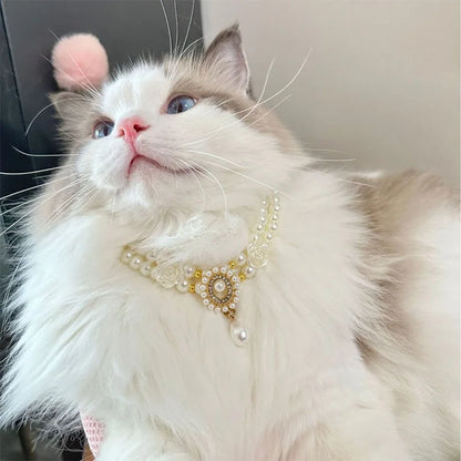 Small dog wearing gem pendant pearl necklace with lace accents