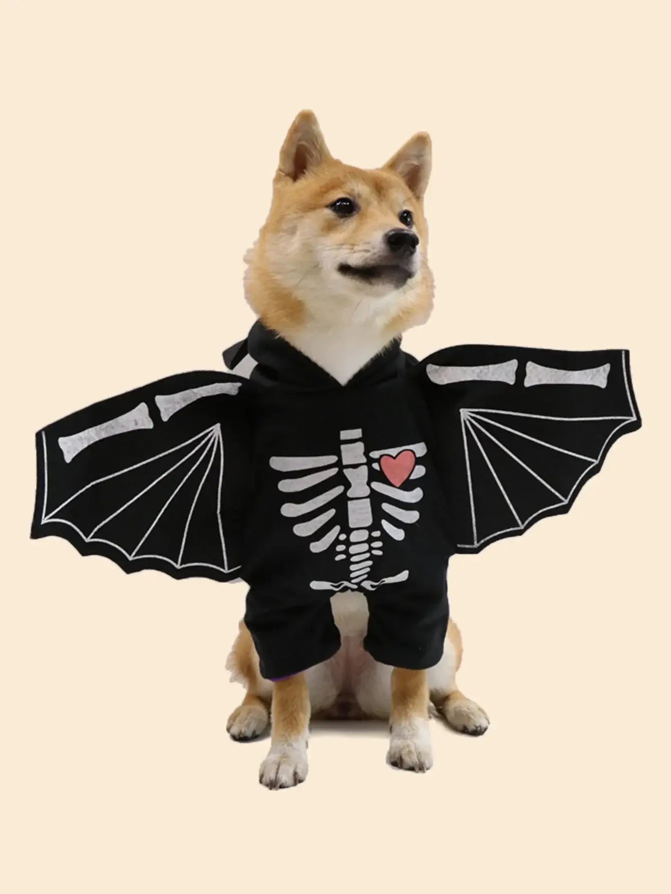 Dog wearing Halloween bat wings costume for small, medium, and large dogs