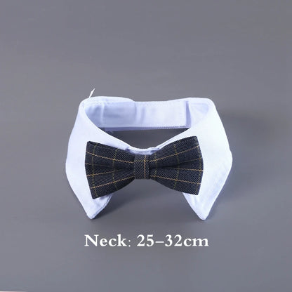 Elegant wedding crown with veil for small dogs and cats – pet bridal headdress