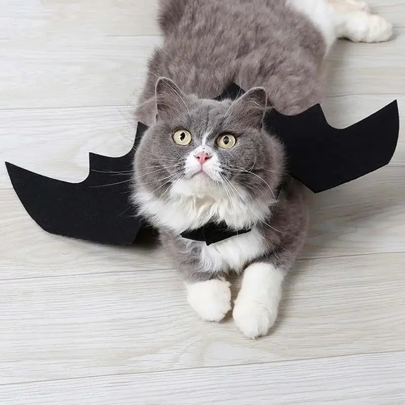 Cute black bat wings harness costume for pets, perfect for Halloween and cosplay, suitable for both cats and dogs.