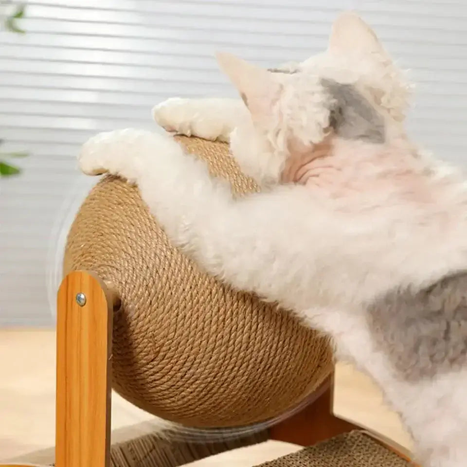 2 in 1 cat scratching ball featuring a sisal scratch board and wooden design, perfect for satisfying cats’ natural instincts and protecting furniture.