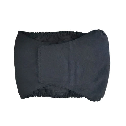 Male dog wearing washable sanitary belly wrap for training