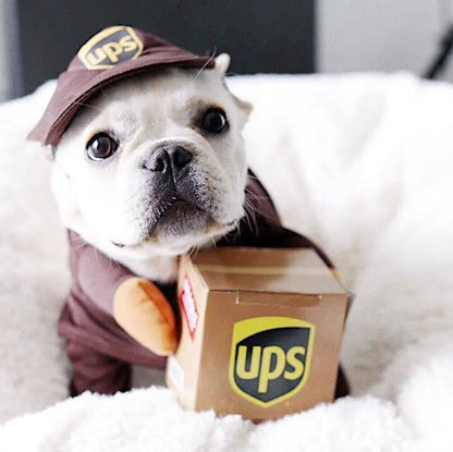 Dog dressed in a UPS courier costume with branded uniform for Halloween or party fun