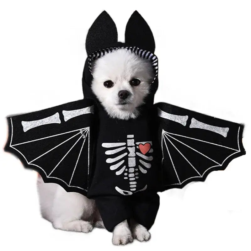 Halloween dagger pet costume featuring a funny knife-holding design, perfect for dogs and cats during Halloween and festive dress-up occasions.