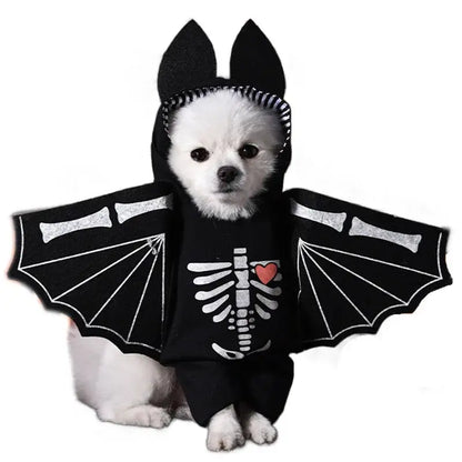 Dog wearing a Halloween costume with foam dagger and stuffed body design.