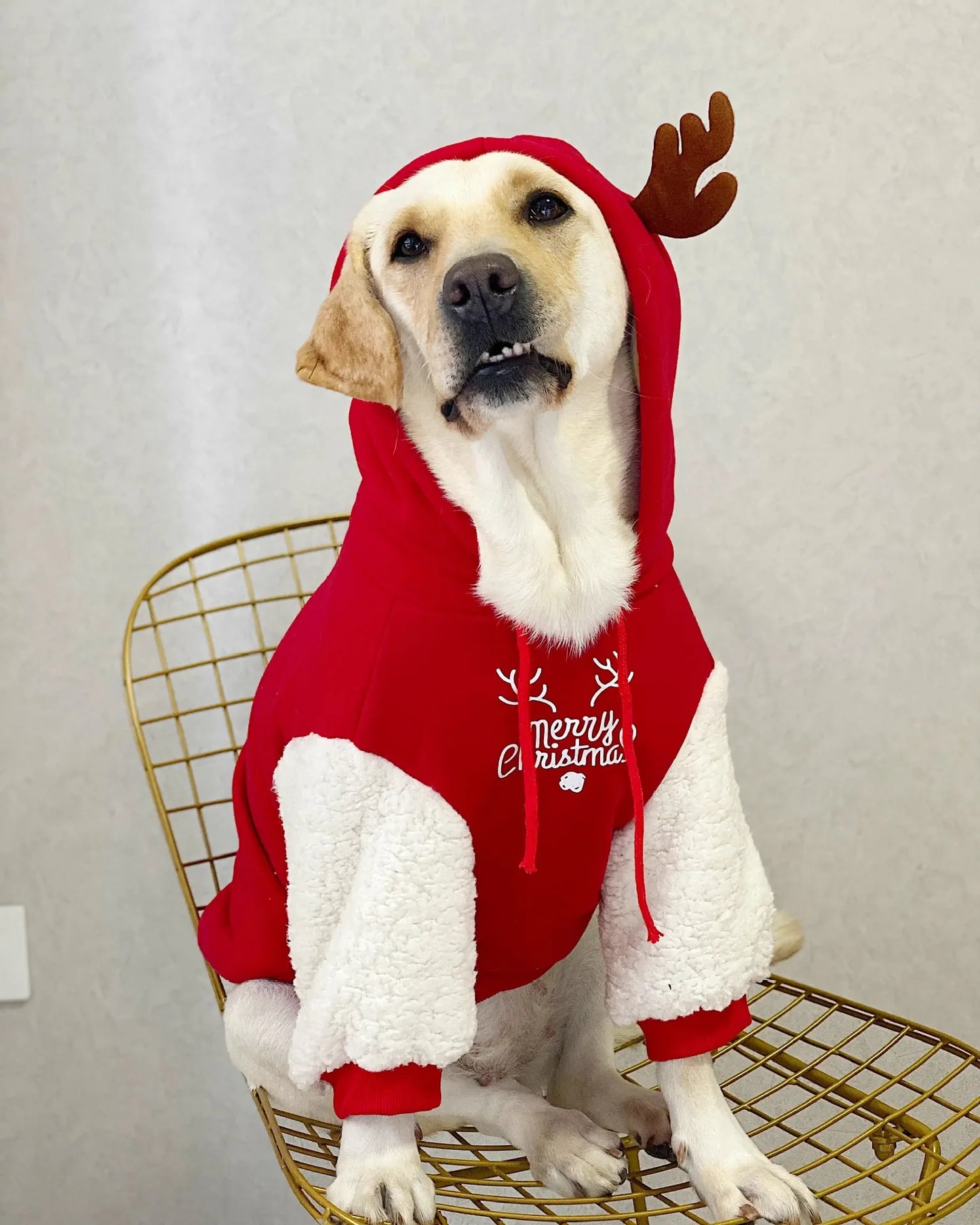 Festive Christmas Fawn Sweatshirt for large dogs, warm cotton fleece winter outfit for Golden Retrievers and Labradors.