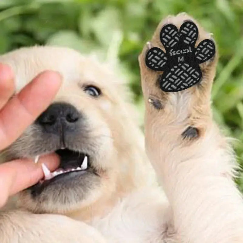 4-Pack Dog Anti Slip Paw Grips made of cloth and silicone for paw protection, available in black and pink.