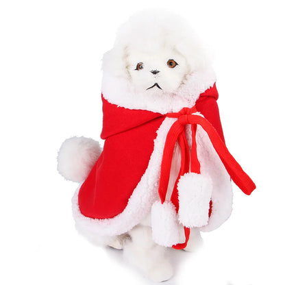 Cat wearing a red and brown Christmas cloak, ideal for festive parties and holiday photos.