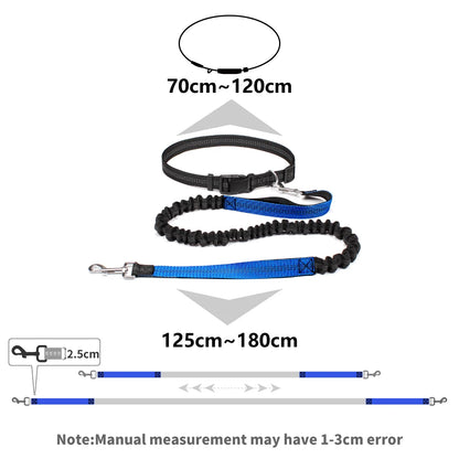 Hands-free dog leash with adjustable waist belt and dual-bungee shock absorber, designed for jogging and running with dogs safely and comfortably.