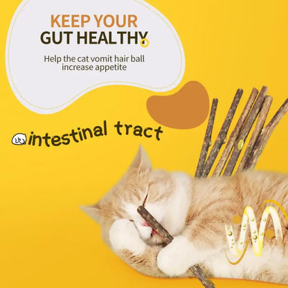 Natural cat mint sticks for chewing and dental care in cats