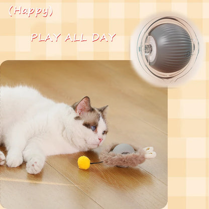 Rechargeable interactive cat toy ball with motion-activated play and smart rolling modes for indoor cats