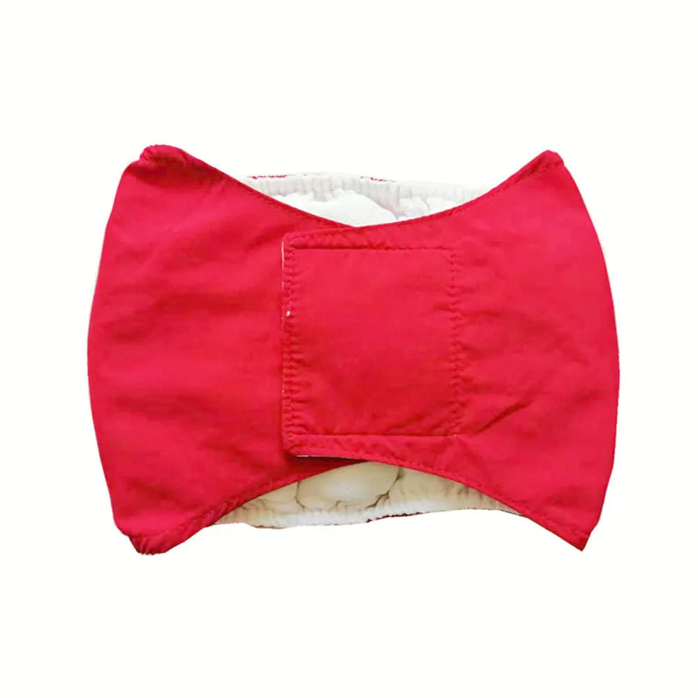 Male dog wearing washable sanitary belly wrap for training