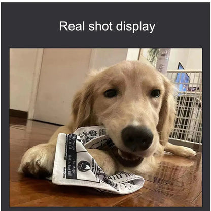 Tearproof dog squeaky toy designed like newspapers and playing cards, ideal for small to medium dogs with durable and fun design.
