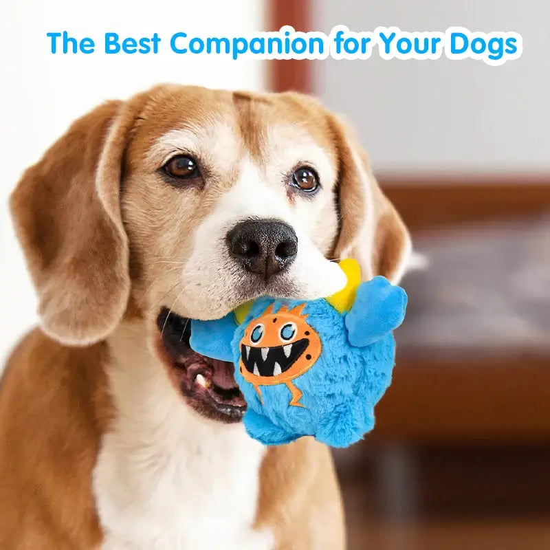 Small dog playing with a Halloween plush squeaky ball that moves.