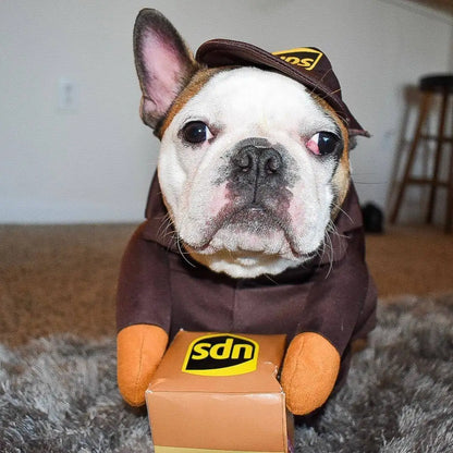 Dog dressed in a UPS courier costume with branded uniform for Halloween or party fun