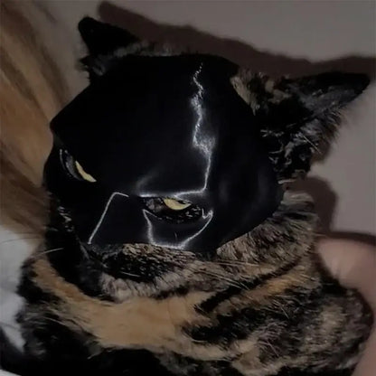 Cat wearing a black bat-inspired superhero mask, posing confidently for Halloween.