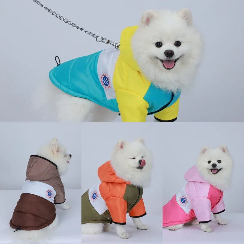 The Pet Paradise | Winter Pet Jacket - Cotton Coat for Small to Medium Dogs & Cats, Warm Puppy Clothes, Chihuahua, Bulldog, Maltese