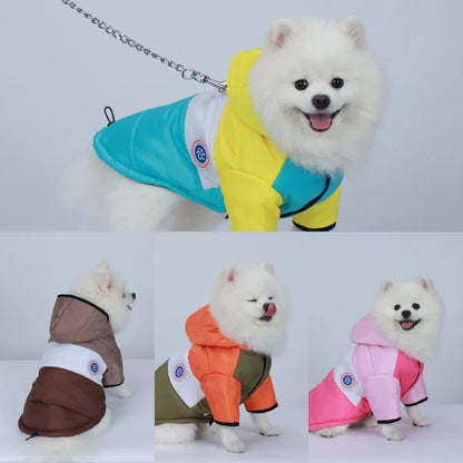 Winter cotton pet jacket for small dogs and cats with warm cozy fit