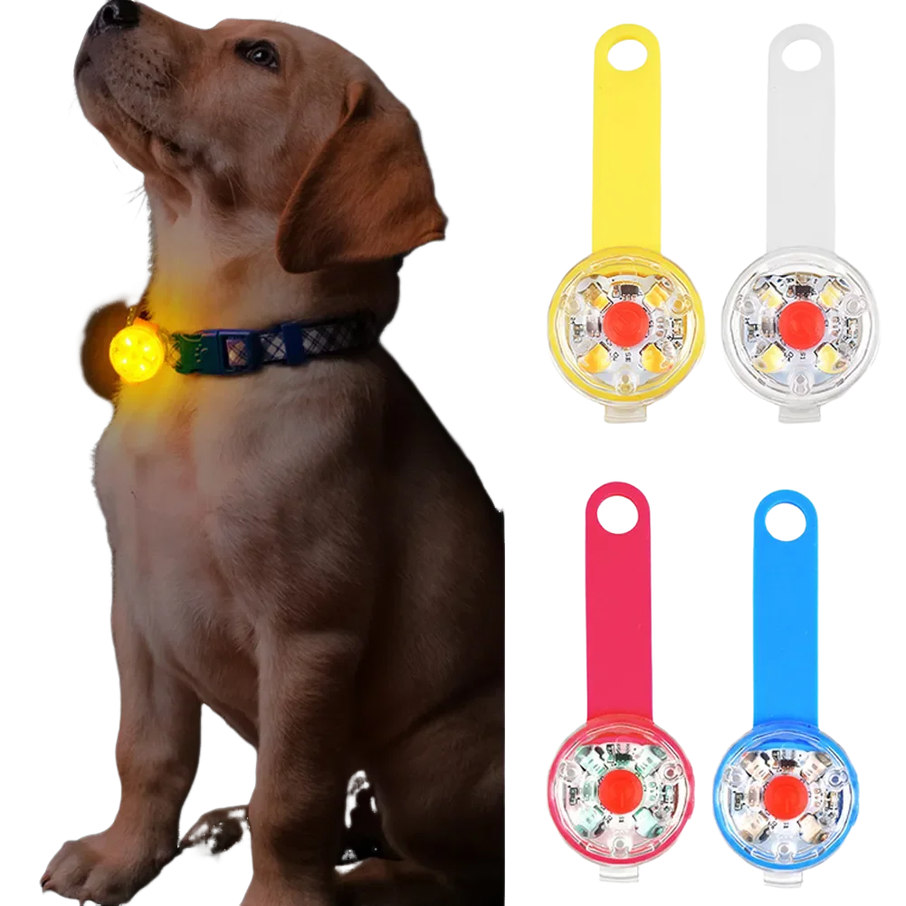 USB rechargeable LED pet collar pendant for nighttime safety and outdoor visibility