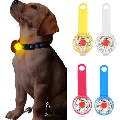 USB rechargeable waterproof LED collar pendant for pet visibility and safety