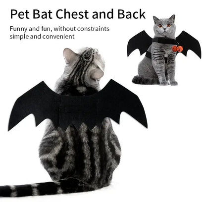 Cat wearing bat wing costume for Halloween.