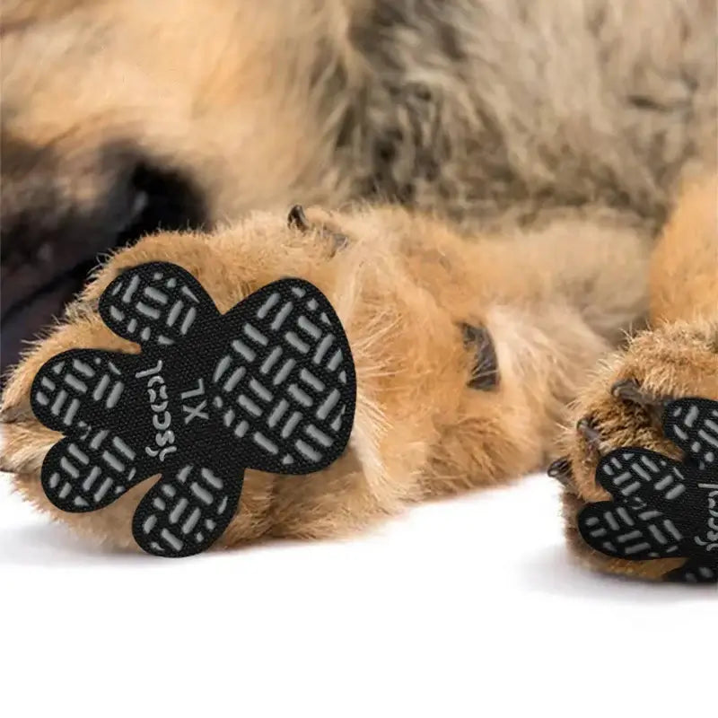 4-Pack Dog Anti Slip Paw Grips made of cloth and silicone for paw protection, available in black and pink.