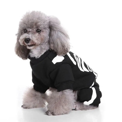 Small dog wearing a Halloween skeleton costume jumpsuit.