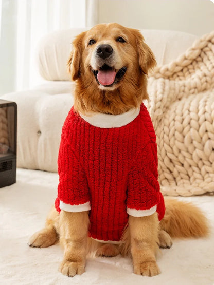 Large dog wearing red Christmas sweater for winter and holiday celebrations