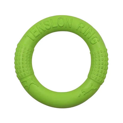 Durable EVA flying saucer chew ring for dogs that floats and promotes active outdoor play