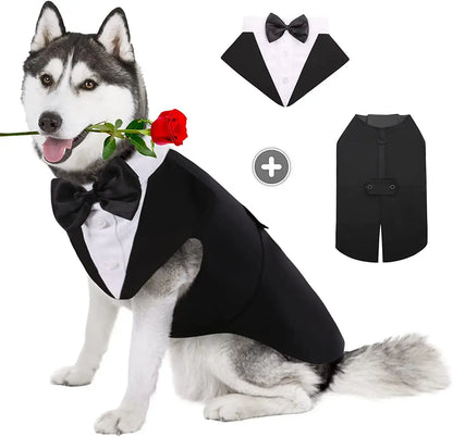 Dog wearing a formal tuxedo suit with bow tie.