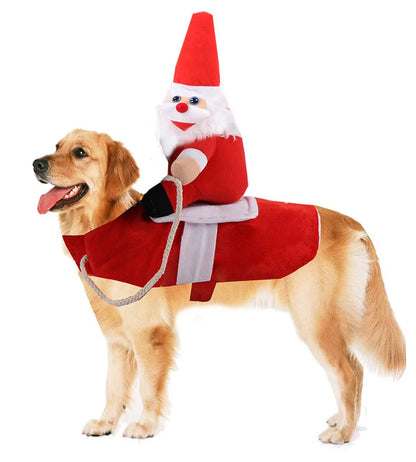 Dog wearing a red Santa Claus costume for Christmas photos and holiday parties