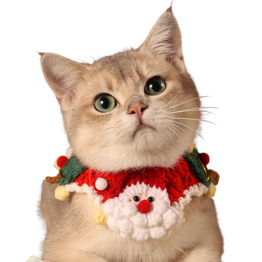 Cat and dog wearing a festive Christmas scarf collar with a lion-shaped hat and bow accessory.