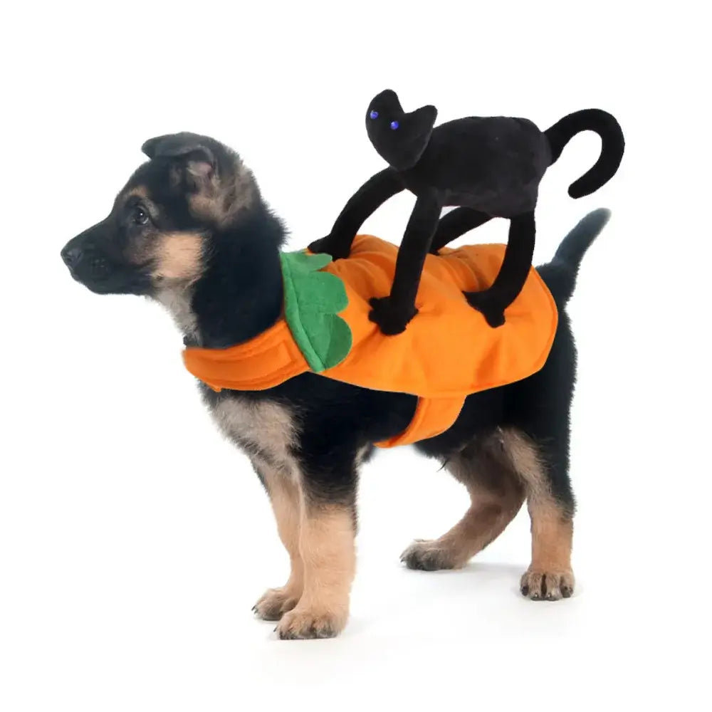 Halloween pet costume, ghost costume for dogs, black cat costume, adjustable pet costume, cute dog Halloween outfit