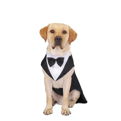 Dog wearing a formal tuxedo suit with bow tie.