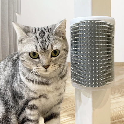 Self-grooming cat brush for hair removal and massage with easy wall attachment
