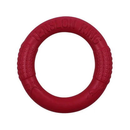 Durable EVA flying saucer chew ring for dogs that floats and promotes active outdoor play