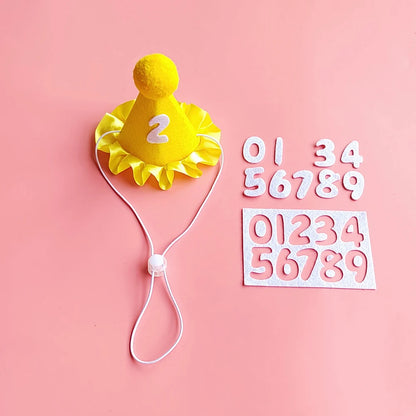 Small dog wearing birthday scarf and hat set for celebration or party