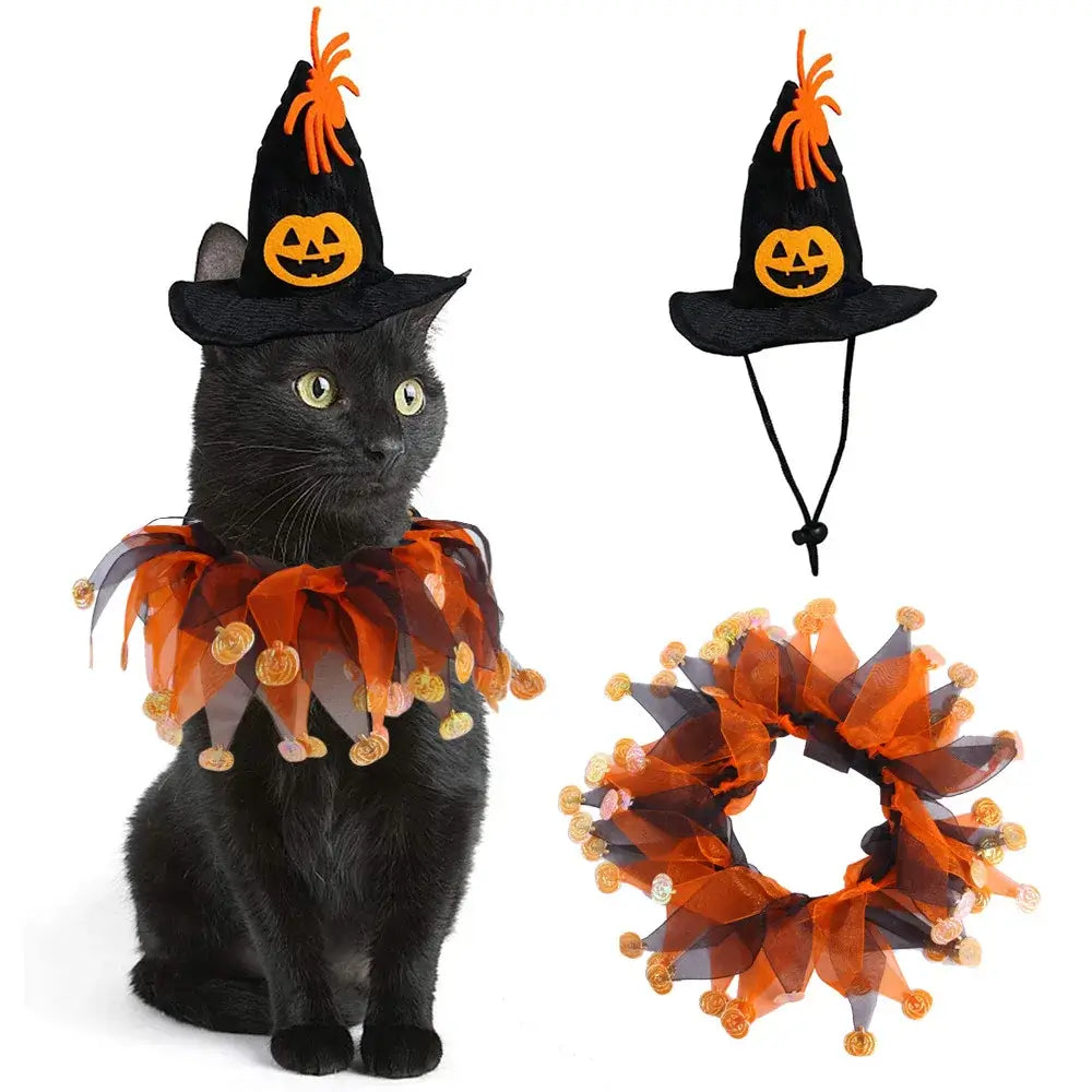 The Pet Paradise Halloween and Christmas Cat Costume Set featuring a pumpkin hat and scarf, perfect for festive celebrations.