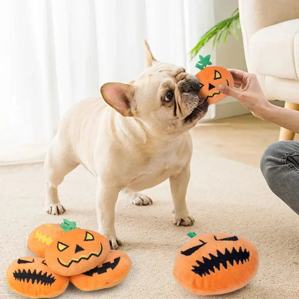 Halloween dog toy, pumpkin ghost face plush toy, squeaky dog toy, dental health pet toy, interactive plush dog toy.