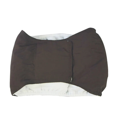 Male dog wearing washable sanitary belly wrap for training