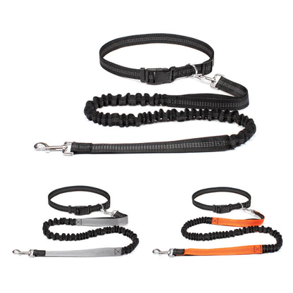 Hands-free dog leash with adjustable waist belt and dual-bungee shock absorber, designed for jogging and running with dogs safely and comfortably.