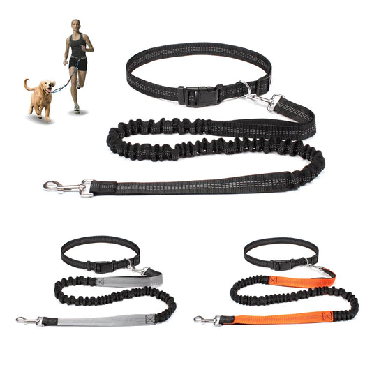 Hands-free dog leash with adjustable waist belt for jogging, running, and walking, featuring reflective stitching and dual-bungee design for comfort and safety.