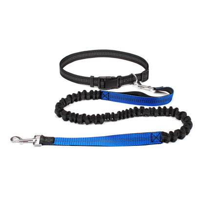 Hands-free dog leash with adjustable waist belt and dual-bungee shock absorber, designed for jogging and running with dogs safely and comfortably.